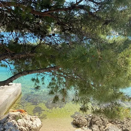Seaside Family Friendly House With A Swimming Pool Rogoznica - 21120 * روغوزنيكا